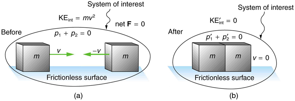 Types of Neutron Scattering, Inelastic Collisions in One Dimension | Physics