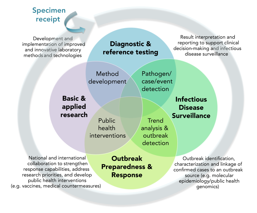 Types of outbreak investigation data, Laboratory response checklist for infectious disease outbreaks: Preparedness and response ...