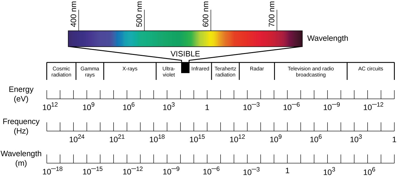Understanding the Spectrum and Its Components, The Properties of Light | Microbiology