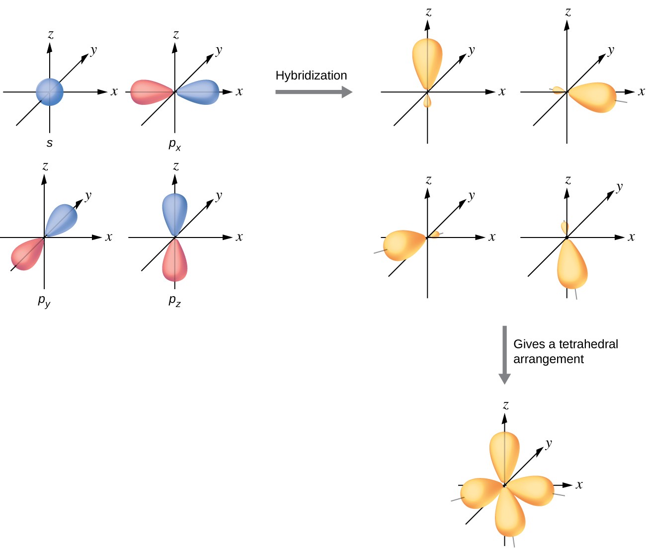 Fundamental Principles and Concepts, 8.2 Hybrid Atomic Orbitals | Chemistry