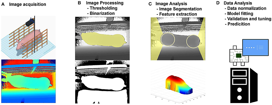 Tasks in visual question answering, Frontiers | Image Analysis and Computer Vision Applications in Animal Sciences: An Overview