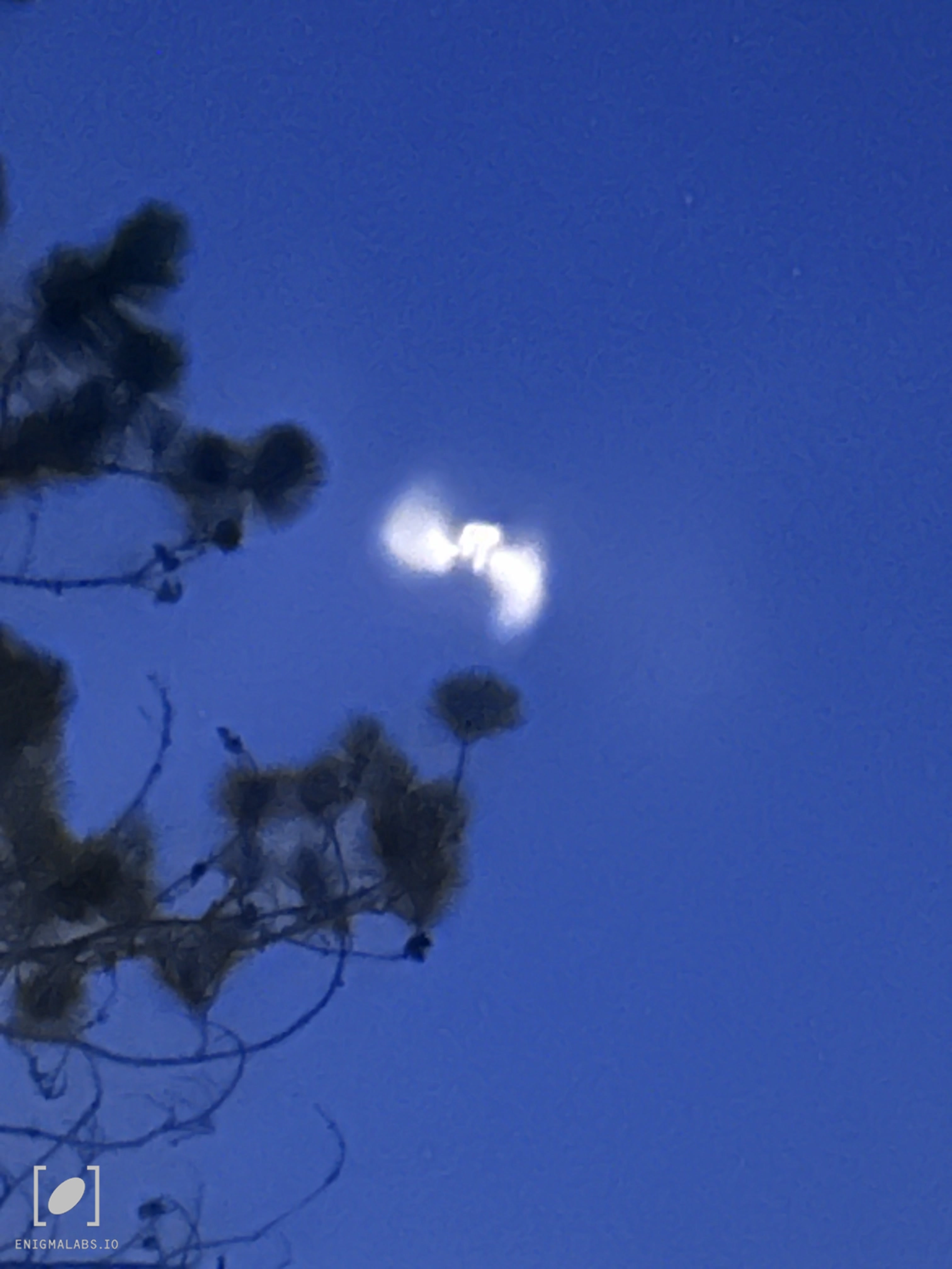 21d02c5d-d7e8-4bd5-854f-1542965a0d19