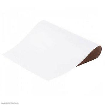 CARTULINA PLASTIFICADA BARNIZ BLANCO X 2 UND