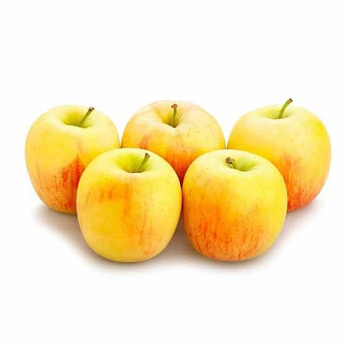 MANZANA SANTA ROSA X KG