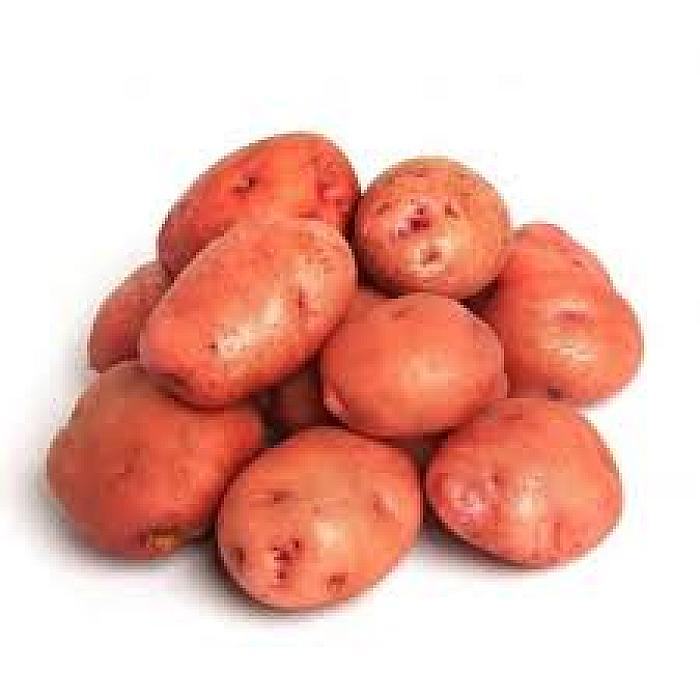PAPA ROSADA X KILO