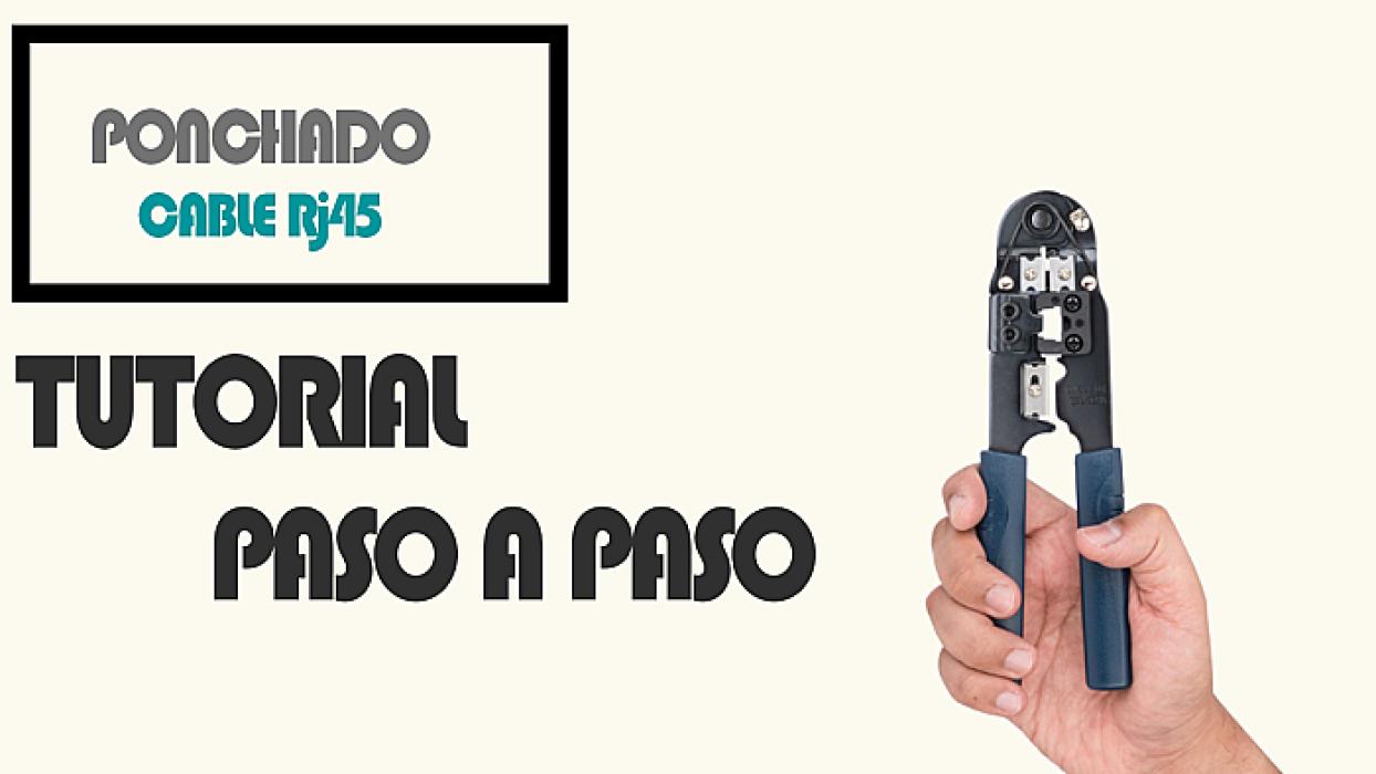 image-article-35c2255f3e37fb186e689fbddae82bf4