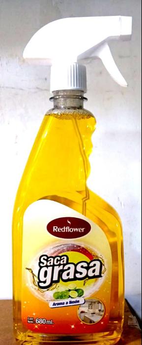 WhatsApp Image 2026-02-20 at 12.59.43 PM