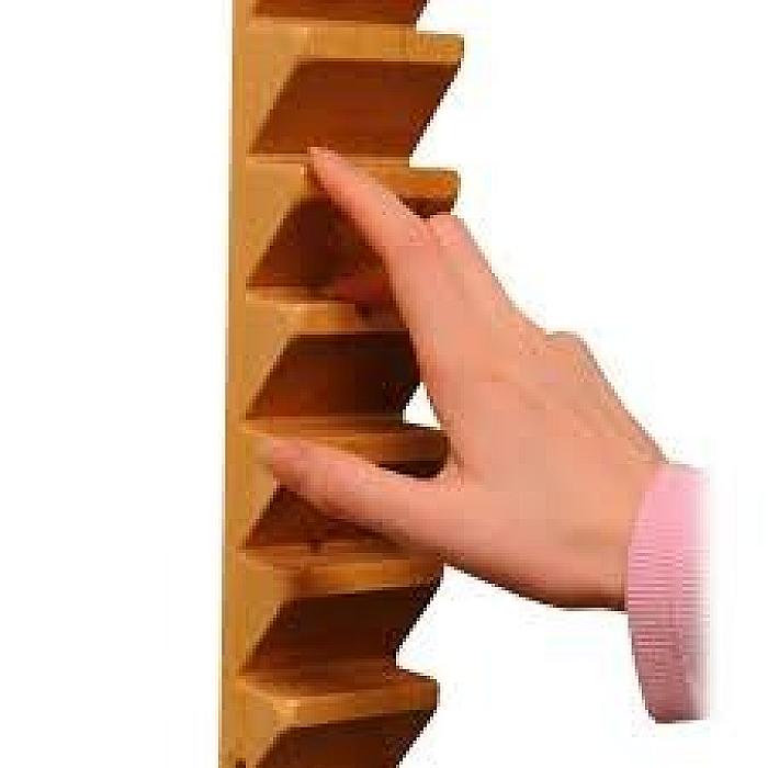 WhatsApp Image 2026-02-11 at 6.18.35 PM