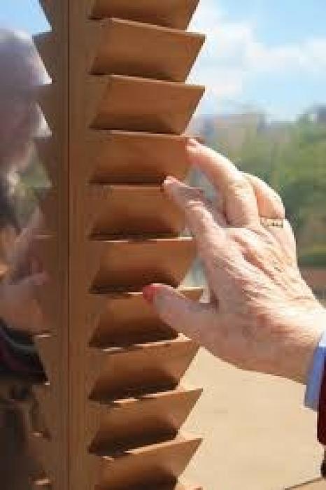 WhatsApp Image 2026-02-11 at 6.18.51 PM