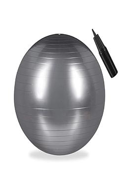 PELOTA ARGYM DE 75 CM