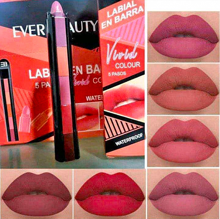 labial en barra 5 en 1 ever beauty labial en barra 5 en 1 ever beauty