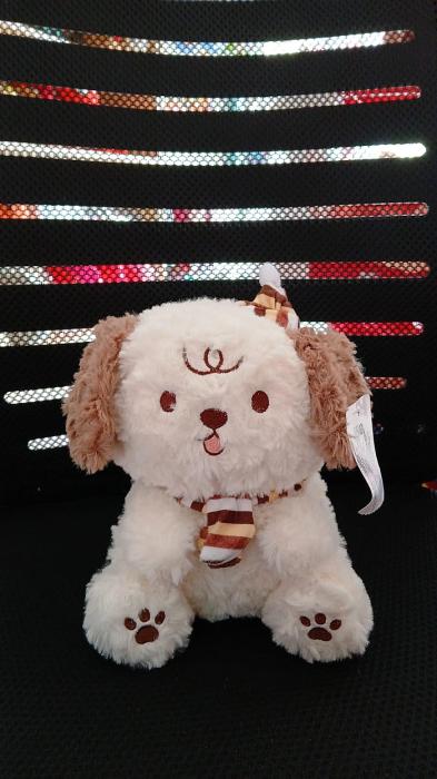 WhatsApp Image 2026-01-19 at 1.59.36 PM