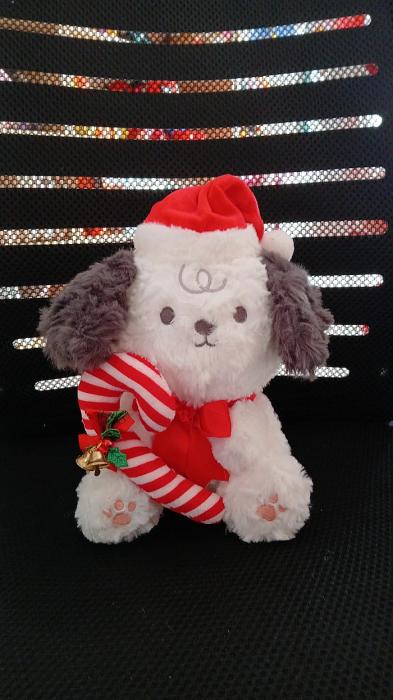 WhatsApp Image 2026-01-19 at 1.59.37 PM