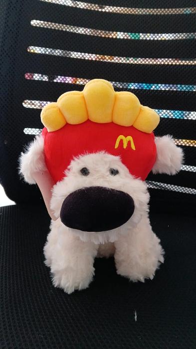 WhatsApp Image 2026-01-19 at 1.59.39 PM (1)