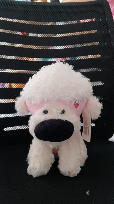 WhatsApp Image 2026-01-19 at 1.59.40 PM