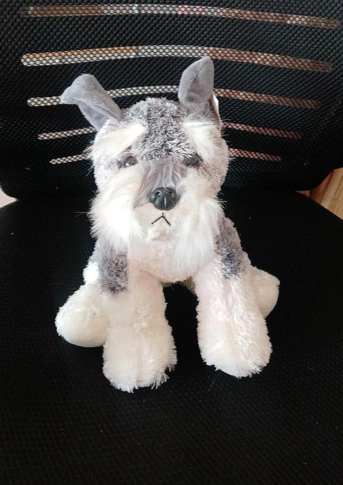 WhatsApp Image 2026-01-19 at 3.35.21 PM