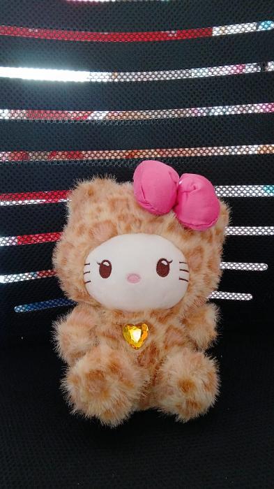 WhatsApp Image 2026-01-19 at 1.59.39 PM