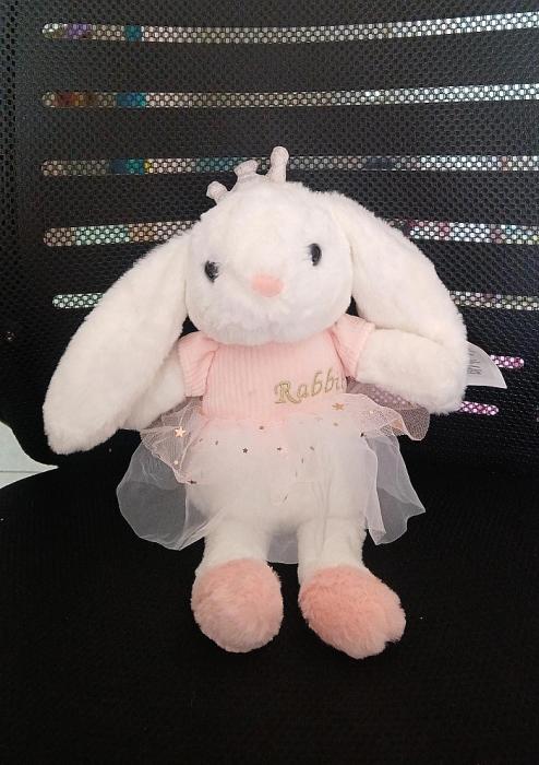 WhatsApp Image 2026-01-19 at 3.35.22 PM