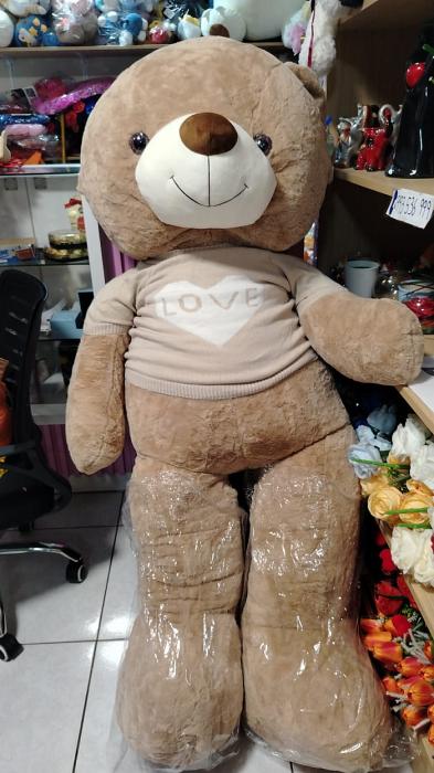 WhatsApp Image 2026-01-29 at 7.09.42 PM