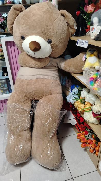 WhatsApp Image 2026-01-29 at 7.00.08 PM