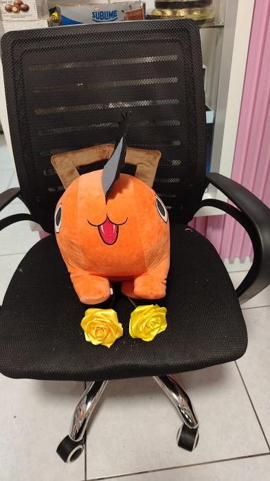 WhatsApp Image 2026-01-29 at 7.06.20 PM