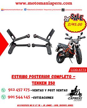 ESTRIBO POSTERIOR COMPLETO - TEKKEN 250