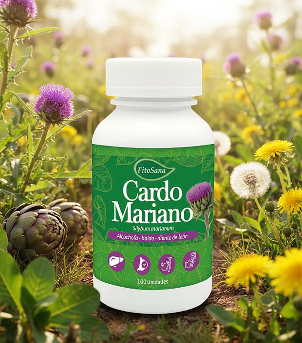 generated-image - 2025-11-20T115303.322