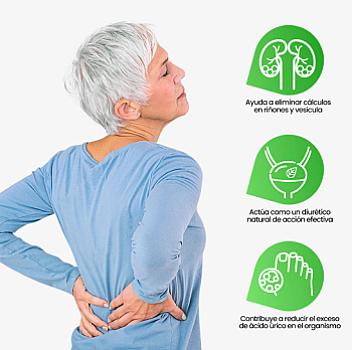 CHANCAPIEDRA X 500ml