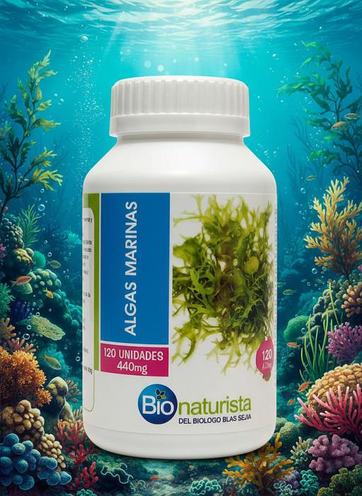 generated-image (16)