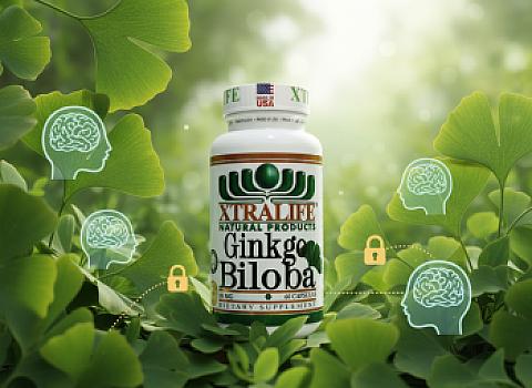 GINKGO BILOBA 60 MG X 60 CAP