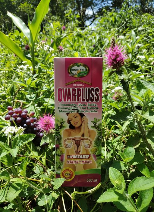 generated-image - 2025-11-06T183546.154