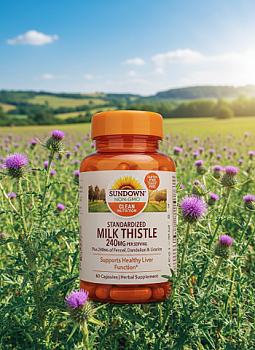 CAP MILK THISTLE X 60 UND