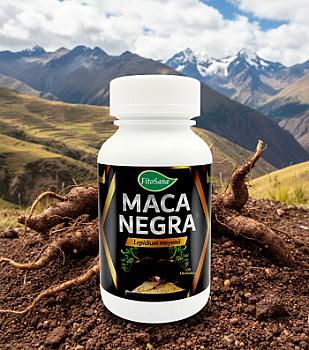 CAP MACA NEGRA 100 und
