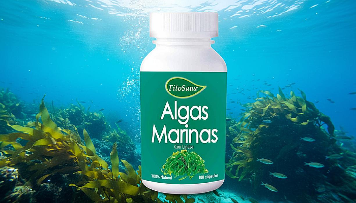 generated-image - 2025-11-11T205346.841