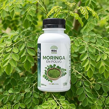 CAP MORINGA