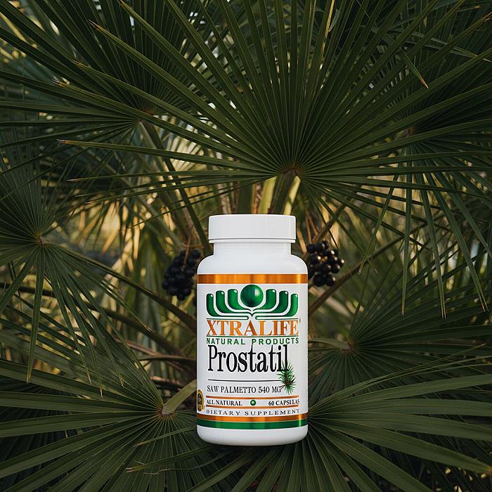 generated-image - 2025-11-17T134231.172