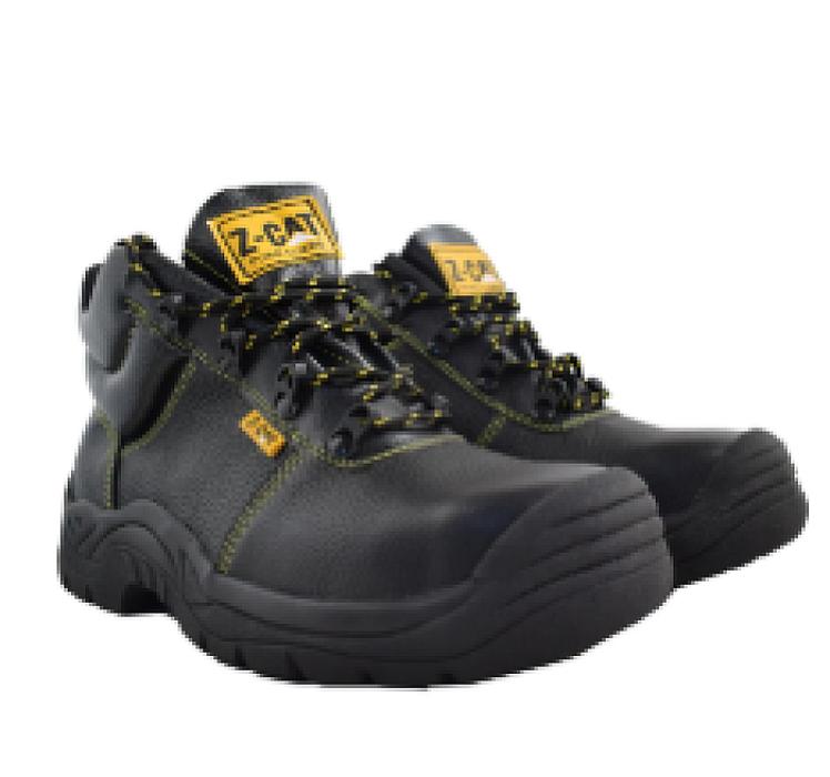 zapato