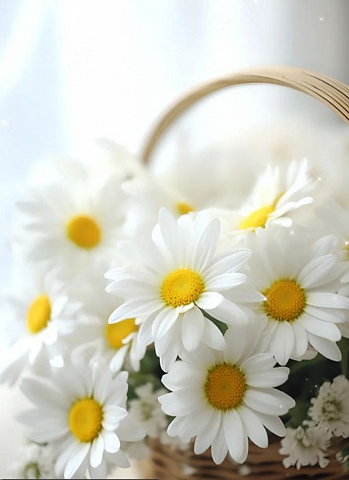 c5ed71caa6ba85bbab2e6604057373f7