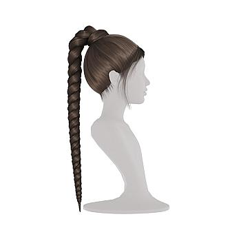 COLA DE CABELLO EN TRENZAS
