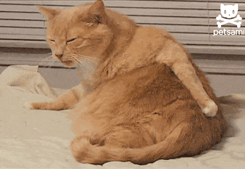 12 Things That Secretly Hurt Your Vagina 4dontputthingsinvag - 12 Things That Secretly Hurt Your Vagina