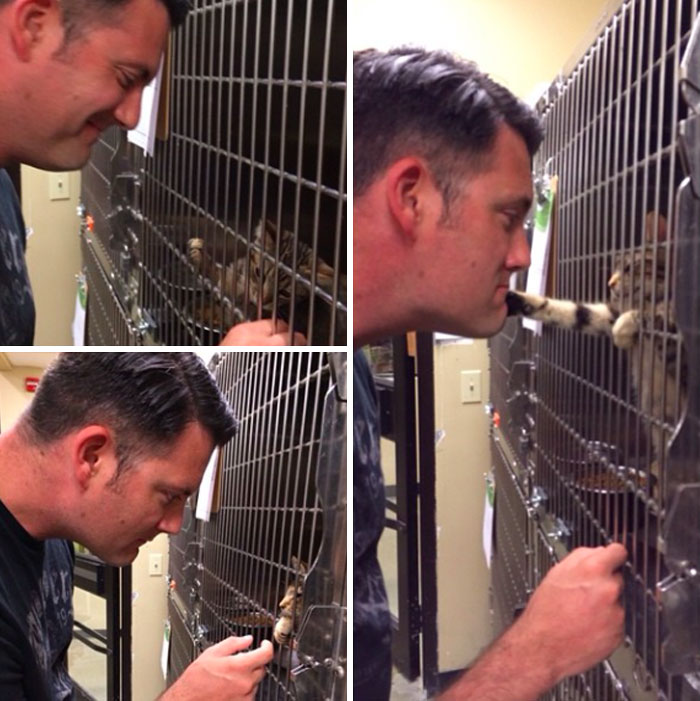 My "Not A Cat Person" Boyfriend Falling In Love With A Shelter Kitty