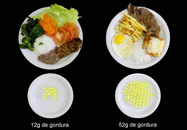 comida10 - Como prevenir a obesidade comendo melhor