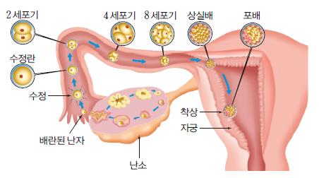남자의 '젖꼭지'가 존재하는 이유...'충격' eb8ba4ec9ab4eba19ceb939c 2 - 남자의 '젖꼭지'가 존재하는 이유...'충격'