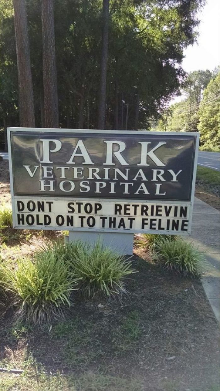 Funny-veterinarian-signs