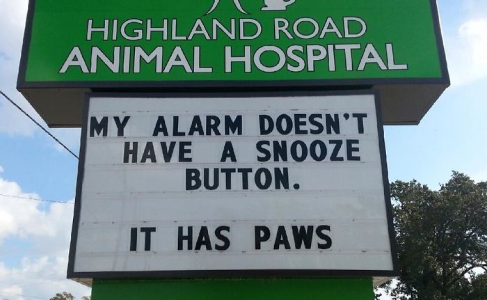 Vet Sign