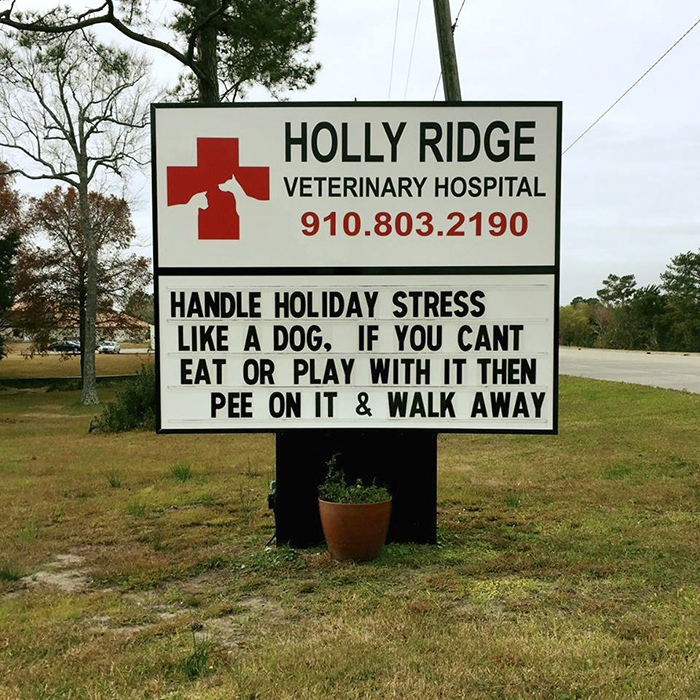 Funny-veterinarian-signs