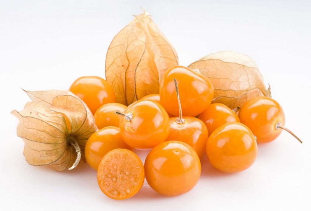 physalis jpg size custom crop 1086x0 1024x695 - Golden Berry: a frutinha milagrosa
