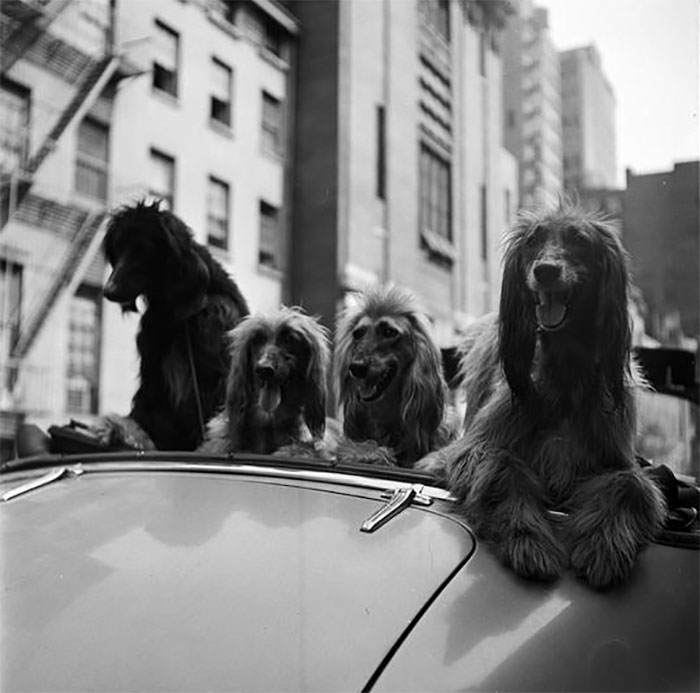 vintage-photographs-new-york-street-life-stanley-kubrick-8-59a94581034c2__700