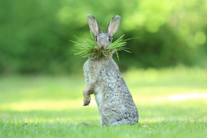 BoredPanda