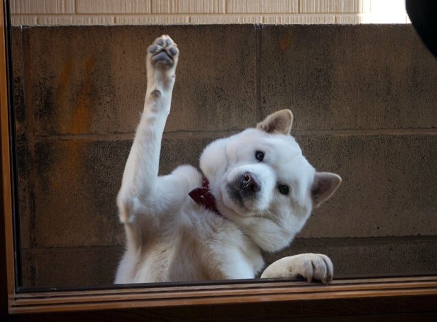 觉得自己越长越大,脑袋却越来越僵硬的人请举手!